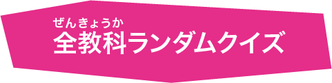 全教科ランダムクイズ
